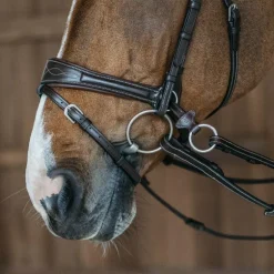 Dyon - Bridon Working Motion Working By Dyon havane