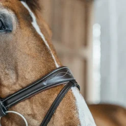 Dyon - Bridon Working Motion Working By Dyon havane