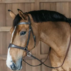 Dyon - Bridon Working Motion Working By Dyon havane