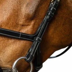 Dyon - Bridon X-Fit D Collection noir