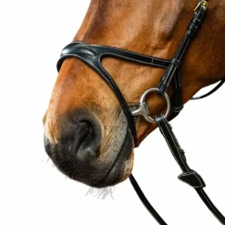 Dyon - Bridon X-Fit D Collection noir