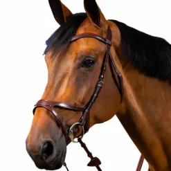 Dyon - Bridon X-Fit New English Collection havane