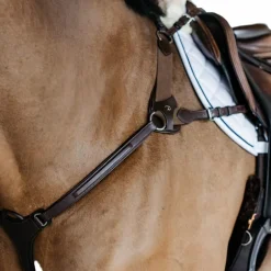 Dyon - Collier de chasse 5 points élastique New English Collection marron