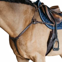 Dyon - Collier de chasse 5 points élastique D Collection marron