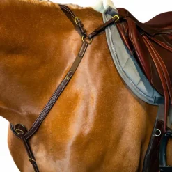 Dyon - Collier de chasse à pont D Collection noir