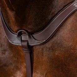 Dyon - Collier de chasse anatomique US Collection brun