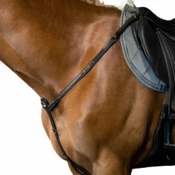 Dyon - Collier de chasse D Collection noir