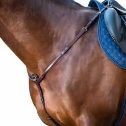 Dyon - Collier de chasse New English Collection brun