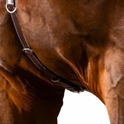 Dyon - Collier de chasse US Collection brun