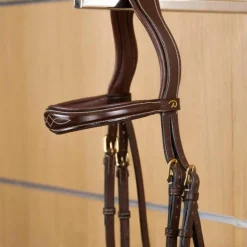 Dyon - Frontal droit anatomique D Collection marron