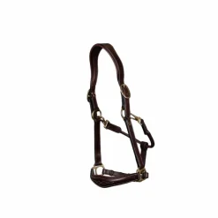 Dyon - Licol cuir D Collection brun