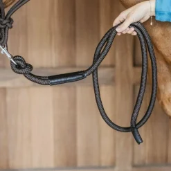 Dyon - Longe mousqueton amovible Working By Dyon marron