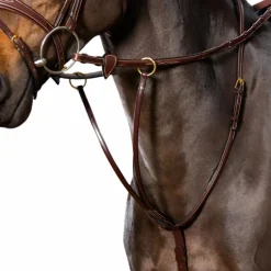 Dyon - Martingale à anneaux D Collection brun