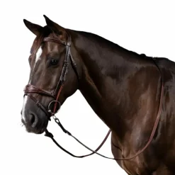 Dyon - Montants de releveur US Collection marron