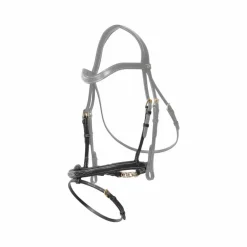 Dyon - Muserolle combinée avec chaîne D Collection noir