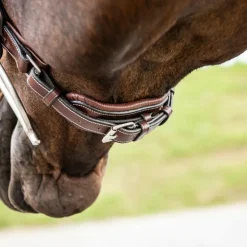 Dyon - Muserolle large Hunter fermeture pull-back US Collection marron