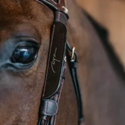 Dyon - Oeillières Focus cuir brun