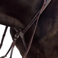 Dyon - Plastron à pont tressé D Collection brun