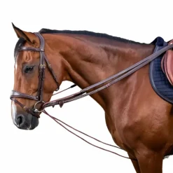 Dyon - Rênes allemandes nylon et cuir 5/8 D Collection brun