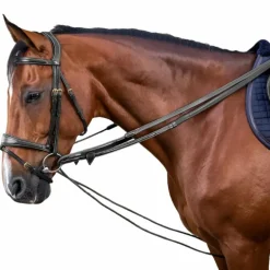 Dyon - Rênes allemandes nylon et cuir 5/8 D Collection noir