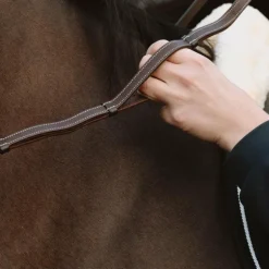 Dyon - Rênes en cuir à poignées Collection Working by Dy'on marron