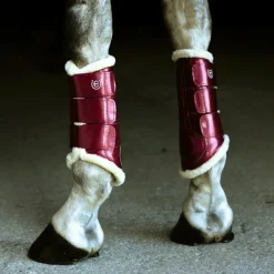 Equestrian Stockholm - Guêtres de dressage Bordeaux x2