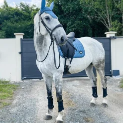 Equestrian Stockholm - Guêtres fermées Black Edition x2