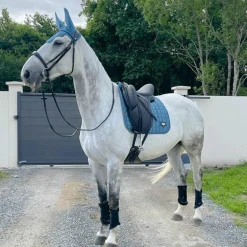 Equestrian Stockholm - Guêtres fermées Black Edition x2