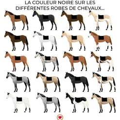 Equestrian Stockholm - Tapis de dressage Total Eclipse