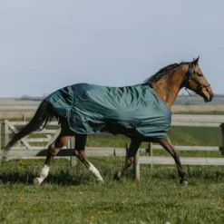Equithème - Couverture d'extérieur Tyrex 600D 50g vert