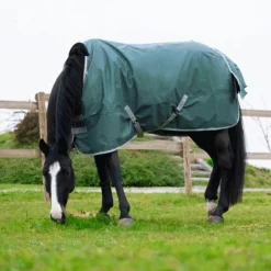 Equithème - Couverture Tyrex 600D recyclée vert 50g