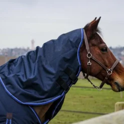 Equithème - Couvre-cou Classic 1200D marine 0g
