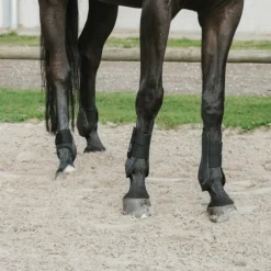 Equithème - Guêtres et protège-boulets Je t'aime noir