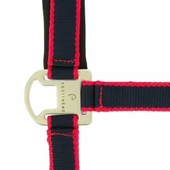 Equithème - Licol + longe Satiné marine/fuchsia