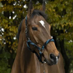Equithème - Licol et longe tressé turquoise/ marine/ noir