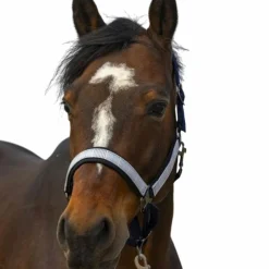 Equithème - Licol nylon Check marine/ noir