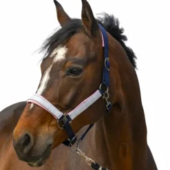 Equithème - Licol nylon Check marine/ rose