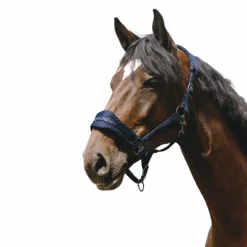 Equithème - Licol Nylon 3D Mesh marine