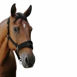 Equithème - Licol Nylon 3D Mesh noir