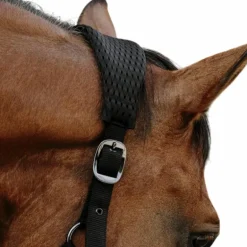 Equithème - Licol Nylon 3D Mesh noir