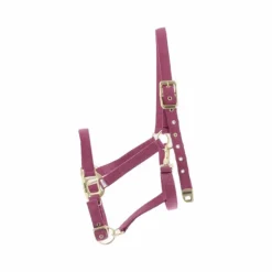 Equithème - Licol Nylon fuchsia