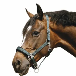 Equithème - Licol Nylon Jacquard vert