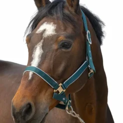 Equithème - Licol nylon Light vert foncé