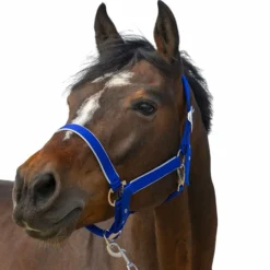 Equithème - Licol nylon Light bleu roi