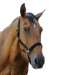 Equithème - Licol Nylon Protector noir
