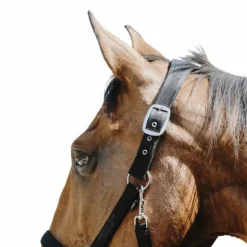 Equithème - Licol Nylon Protector noir