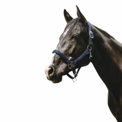 Equithème - Licol Nylon Protector marine