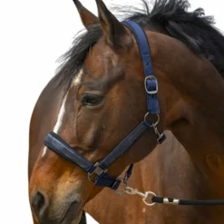 Equithème - Licol nylon Strass marine