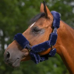 Equithème - Set Teddy pour licol marine