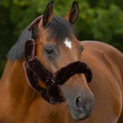 Equithème - Set Teddy pour licol marron